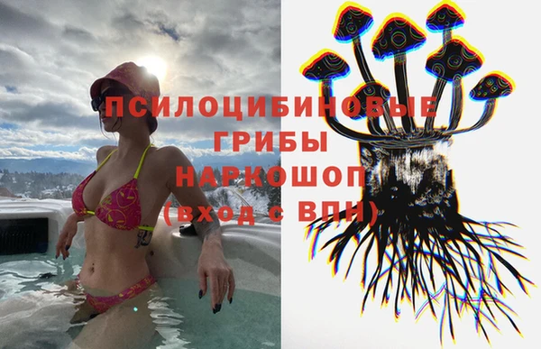 ешки Белокуриха