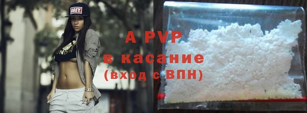 ешки Белокуриха