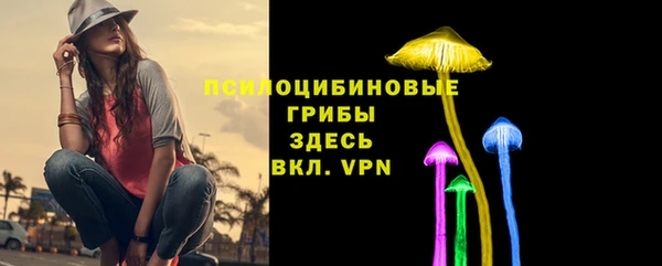 apvp Балабаново