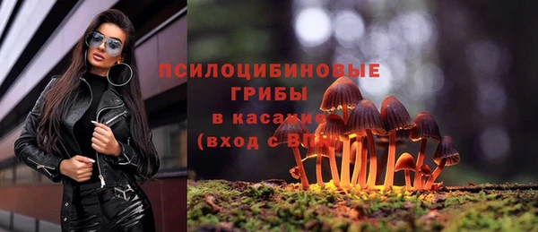 apvp Балабаново