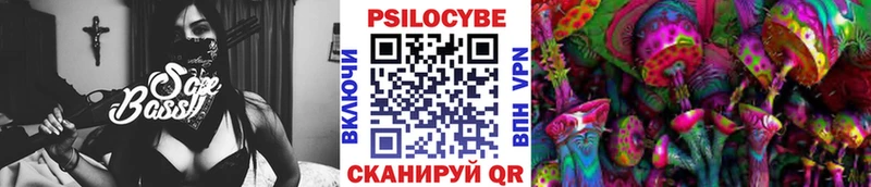 Псилоцибиновые грибы Psilocybe  где продают наркотики  Козловка 